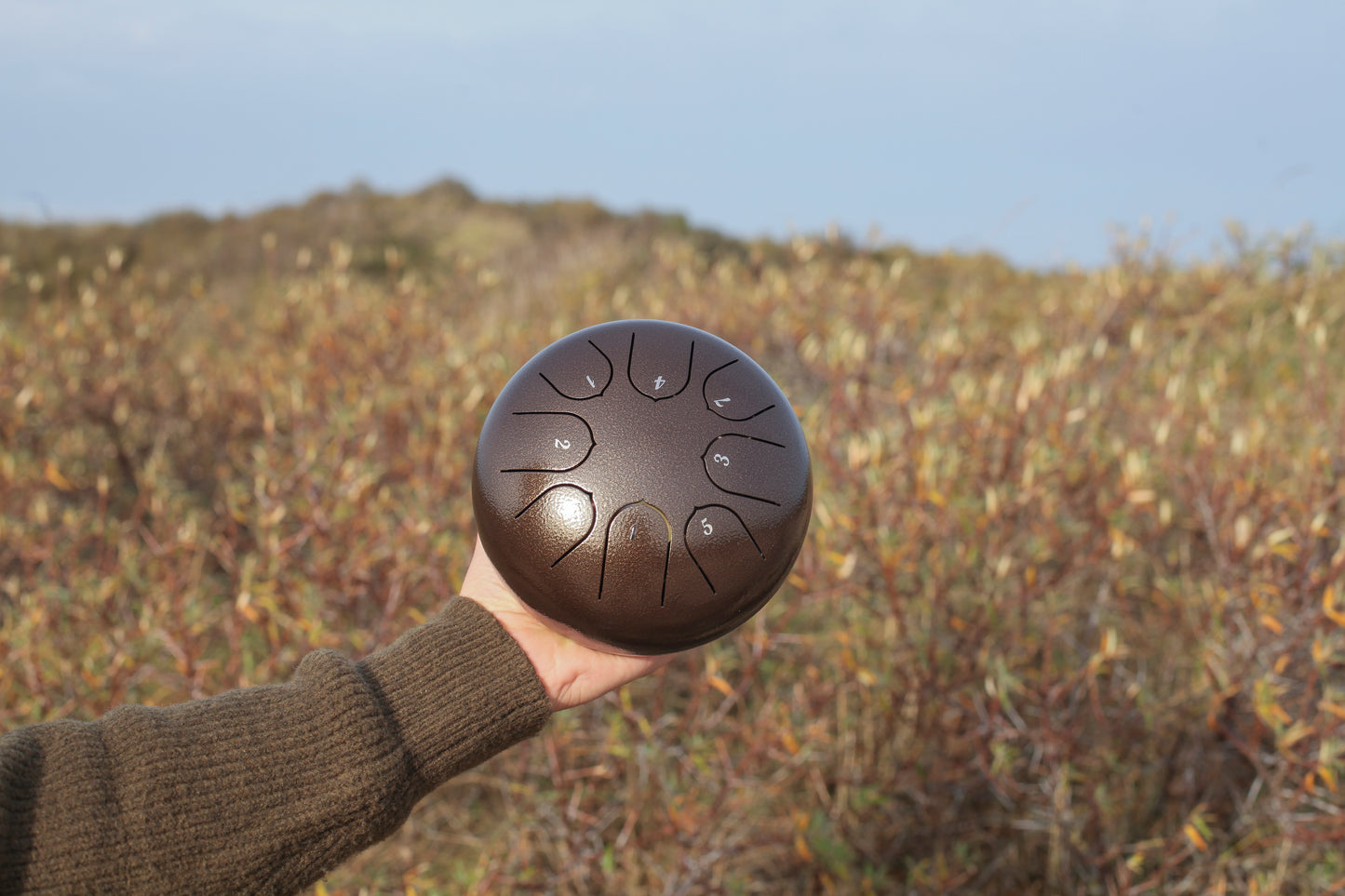 Steel Tongue Drum | Gaia (16cm)